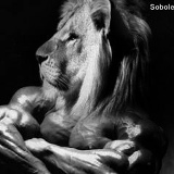 Тигран Тигранян, 25.12, Тула