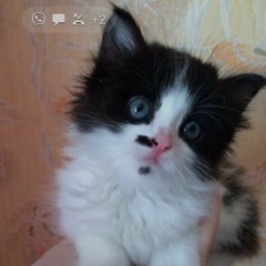 Евгения Викторовна, 18.04.1983, Мегион