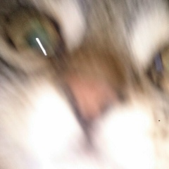 Anton Sch, 17.09.2007, Санкт-Петербург