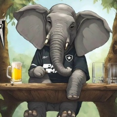 Rafaeu Forareebok, 22.01.1997, Juiz de Fora