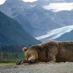 Макс Курт, 31.03.1986, Екатеринбург