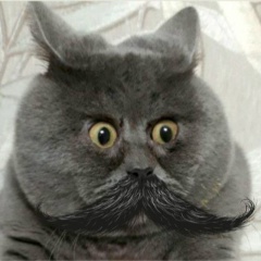 Алексей Архипович, 18.08, Пинск