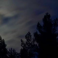 Екатерина Владимировна, 27.09, Санкт-Петербург