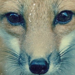 Татьяна Вишнева, 25.01, Шахты