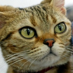 Мария Романенко, 25.09