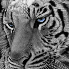 Ольга Вау, Ангарск