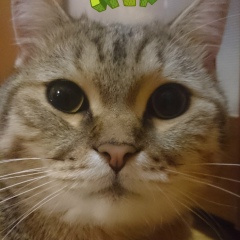 Некто Темный, Удельная