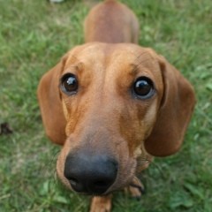 Маргарита Скогорева, 22.08.1988, Коломна