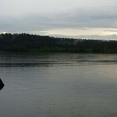 Антон Никитин, 01.02.1989, Санкт-Петербург