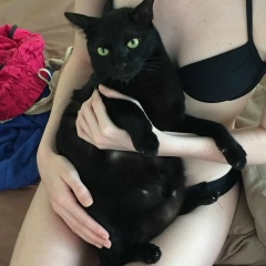 Андрей Хабаров