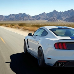 Nick Panarin, 27.02, Санкт-Петербург