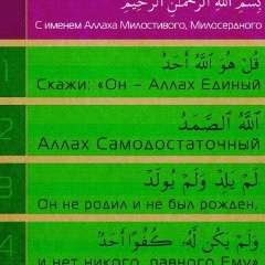 Абу Аюб, 16.08.1994