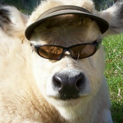 Сергей Никишин, 02.05.2002, Новокуйбышевск