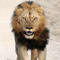 Win Zaw, 01.01.1983, Yangon