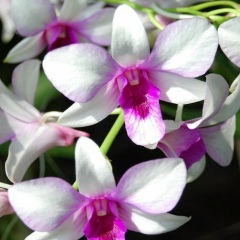 Лилия Бадртдинова, 17.03.1988, Казань