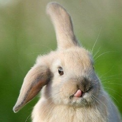 Анастасия Голубева, 11.07, Москва