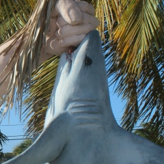 Сергей Лыков, 06.09, Санкт-Петербург