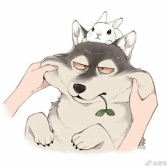 Валерия Чашина, 29.01.1988, Москва