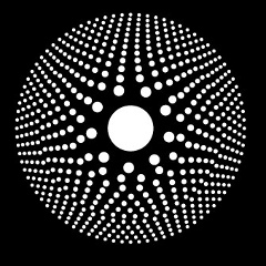 Дмитрий Анисимов