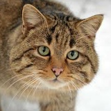 Валентин Круглик, 05.10, Одесса