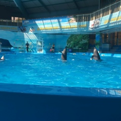 Алма Джумакашева, 24.02.1966