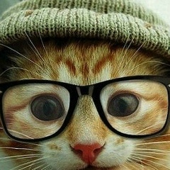 Валера Будников, 15.07.1986, Bamberg