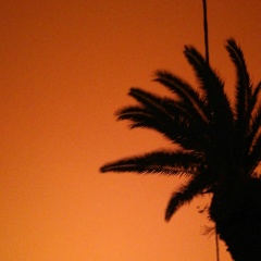 Алексей Курило, 04.01.1983, Санкт-Петербург