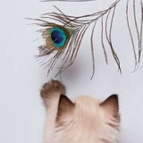 Ева Ким, 18.09, Москва