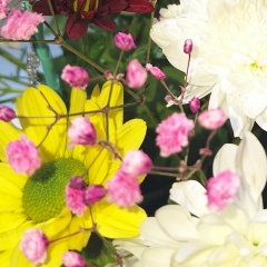 Наталия Кононенко, 06.12.1977, Почтовое