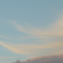 Александр Гущин, 15.08.1981, Апатиты