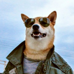 Sergey Artemov, 02.11