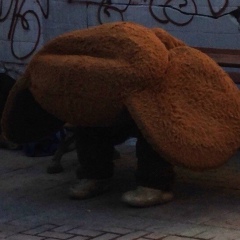 Кирилл Барищук, 01.01.1989, Москва