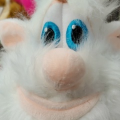 Сергей Кузьмин, 28.11.1979, Tamavua Heights