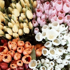 Марина Ерёмина, Санкт-Петербург