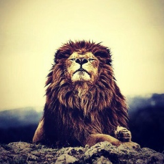 Кайрат Байканов, 19.12.1992, Петропавловск