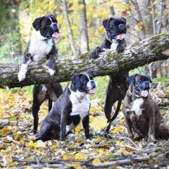 Елена Кемпи, 07.09, Санкт-Петербург