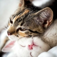 Артем Тюменев, 30.09, Воронеж