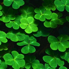 Мейрамгуль Альмуханова, 12.07.1986, Актобе