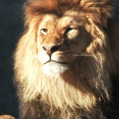 У-Май Со, Москва