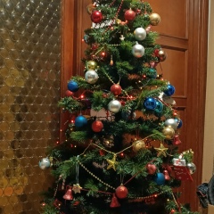 Dani Sarquis, 04.02, Palma