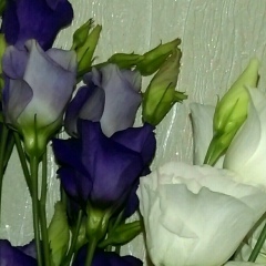 Ирина Казакова, Москва