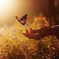 Екатерина Синельщикова, Санкт-Петербург