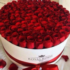 Zhuldyz Baimakhambetova, 07.11.1987, Алматы