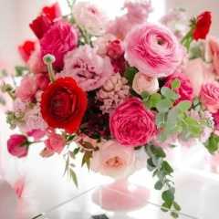 Асель Кушенова, Кызылорда