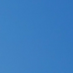 Ирина Наумова, 28.11, Сыктывкар