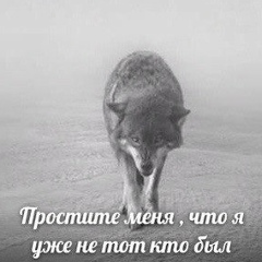 Билял Шамсудинов, 12.10.1997, Махачкала