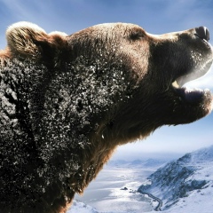 Азик Шагалов, 21.05.1988, Москва