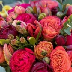 Наталья Штамлер, 17.06.1987, Красноярск