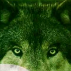 Абдул---Азим Заурбиев