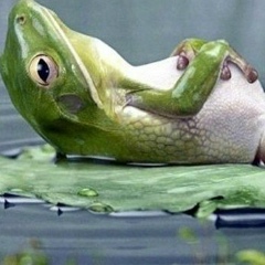 Сергей Зуев-Ратников, 31.08.1986, Самара